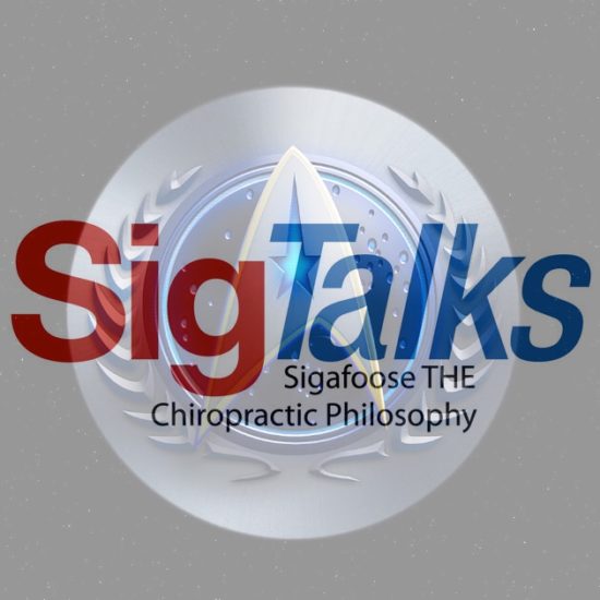 146 SigTalks | Sigafoose Weekly, 3 Years Old