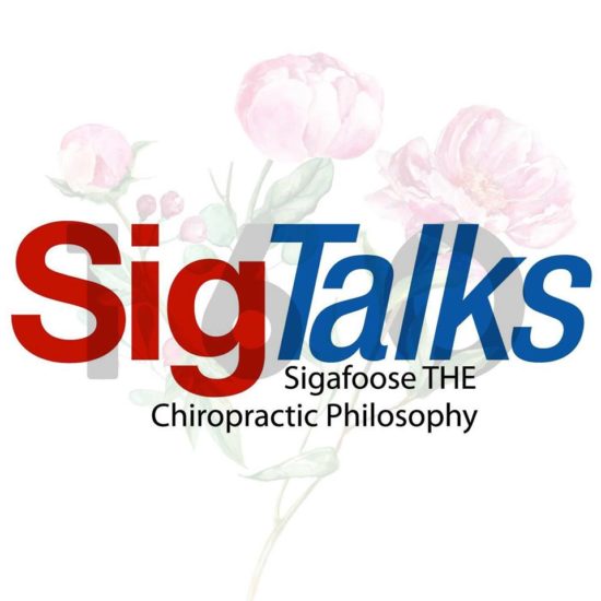 160 SigTalks | The Primordial Subluxation Is???